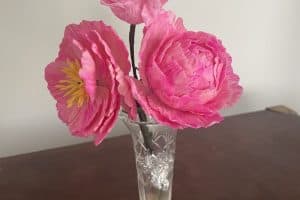 pink peony 2