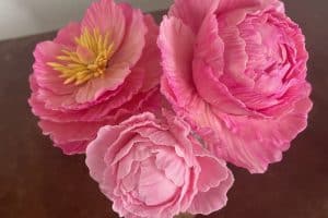 pink peony