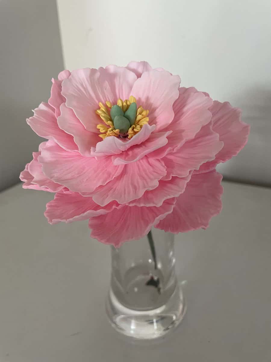 Open Peony