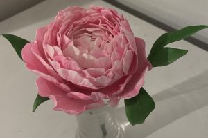 Kiwicakes Whangarei PEONY Class