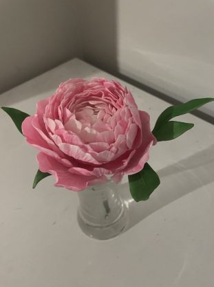 Kiwicakes Whangarei PEONY Class